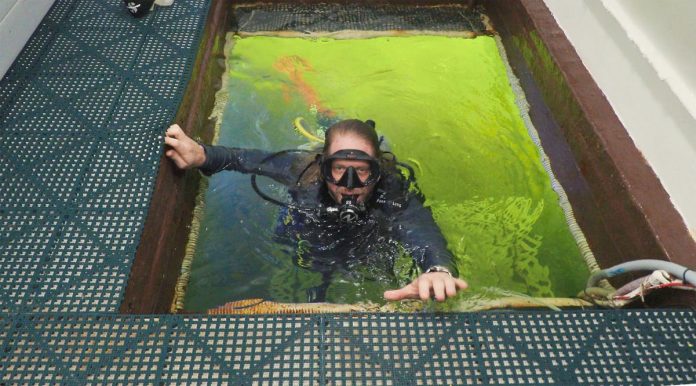 Profesor 100 días bajo agua-miaminews24