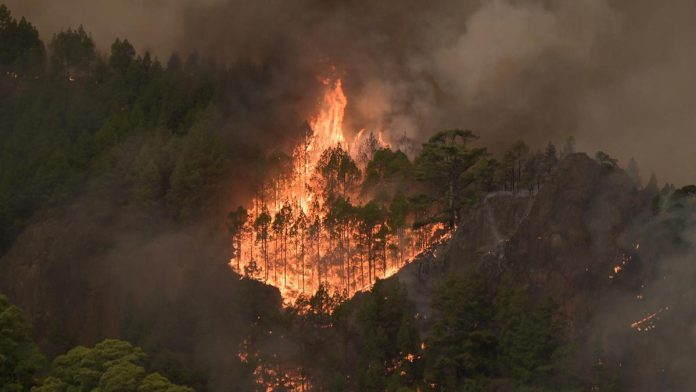 Tenerife incendio peor años-miaminews24